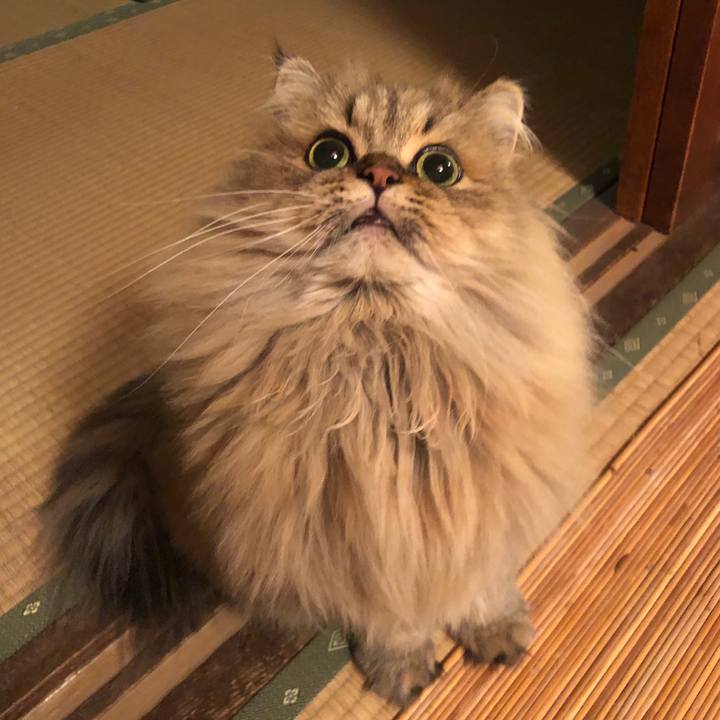 83414c0a 1b2c 4eb4 bf8b 09c2ed37da56 1573960135775