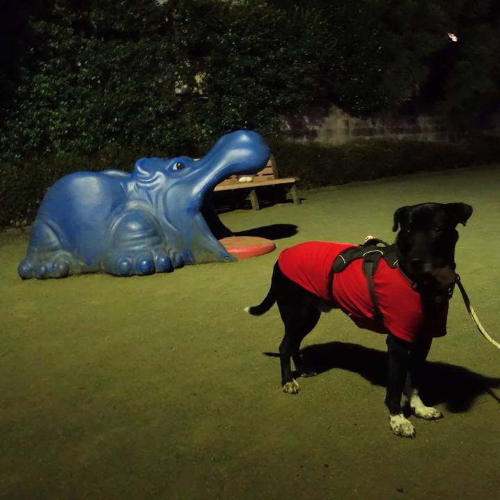 83414fe9 6332 4049 9541 6b7440ebe249 1641035024301