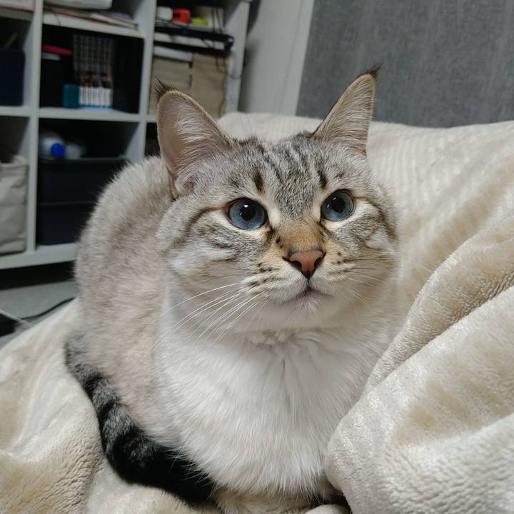 83416d4d 7bf2 48eb 8fd9 71e1665f521d 1709820414114