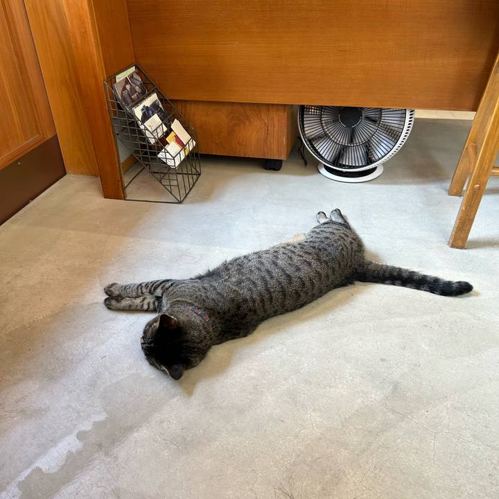 83417361 1131 4501 a979 a5bac33529b3 1718100731910