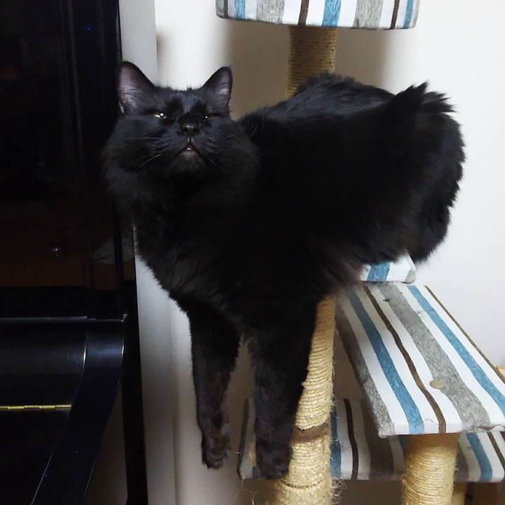 8341886e a054 4f8f be68 f9d56e3644b4 1515074845603