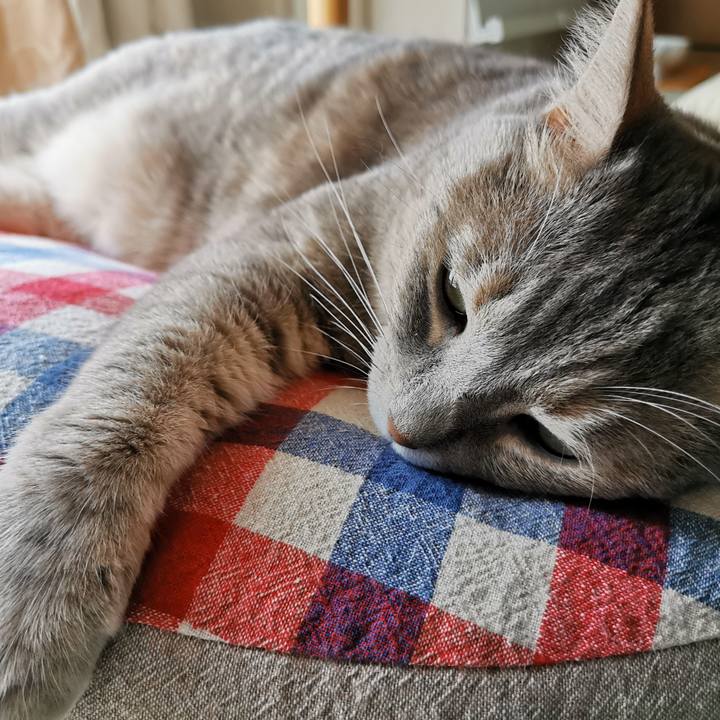 834194c4 5a21 4dea ac68 b64e18475f85 1631519129031