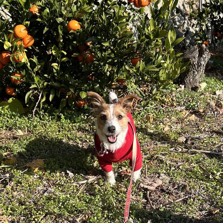 8341b143 b45a 455f b96a d25f8fb15ac1 1765523502054