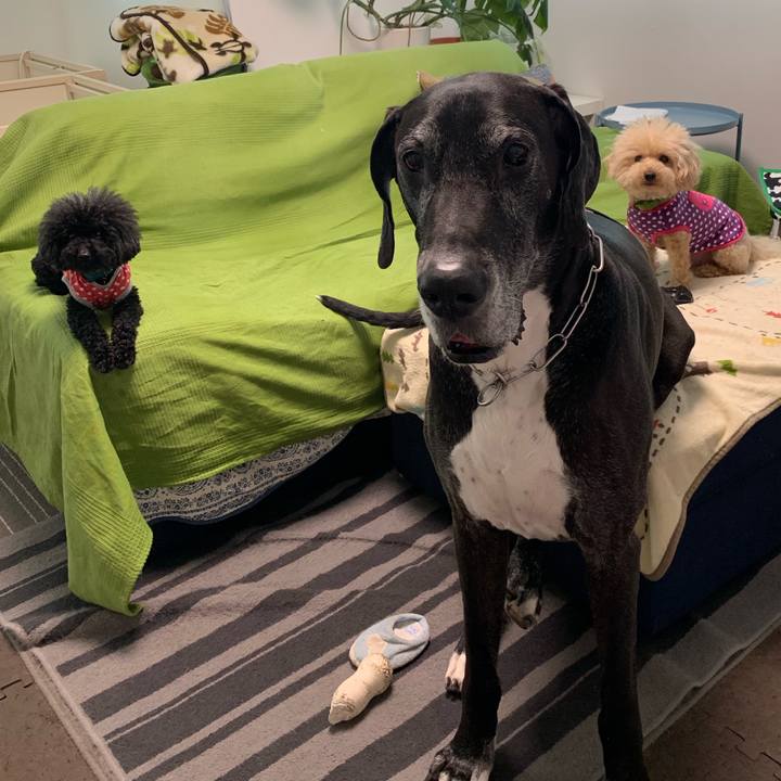 8341dfc5 59ac 46b5 9b23 3af93eb9926c 1556146452124