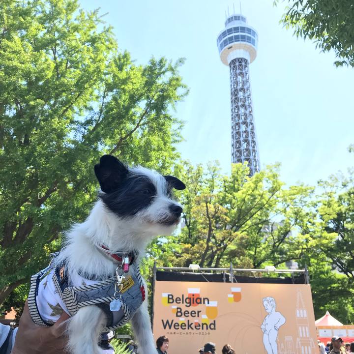 834229cd 3548 42ea b201 2eab4e89c15b 1526793036730