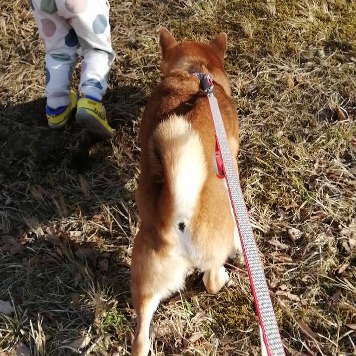 83422ad2 0d56 4d7e 88a4 5c49000d3925 1613643373022