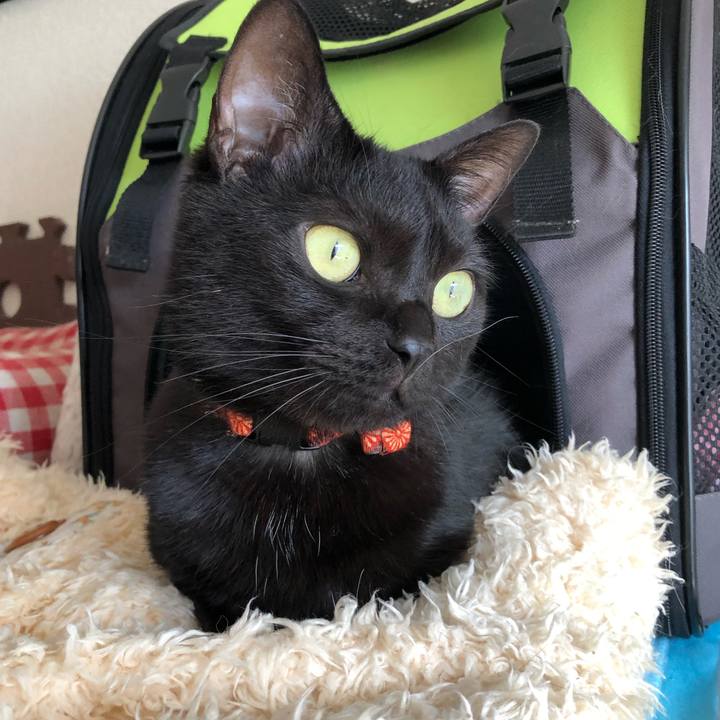 83423d55 7717 4c8e af59 3c53b8313b86 1559354239502