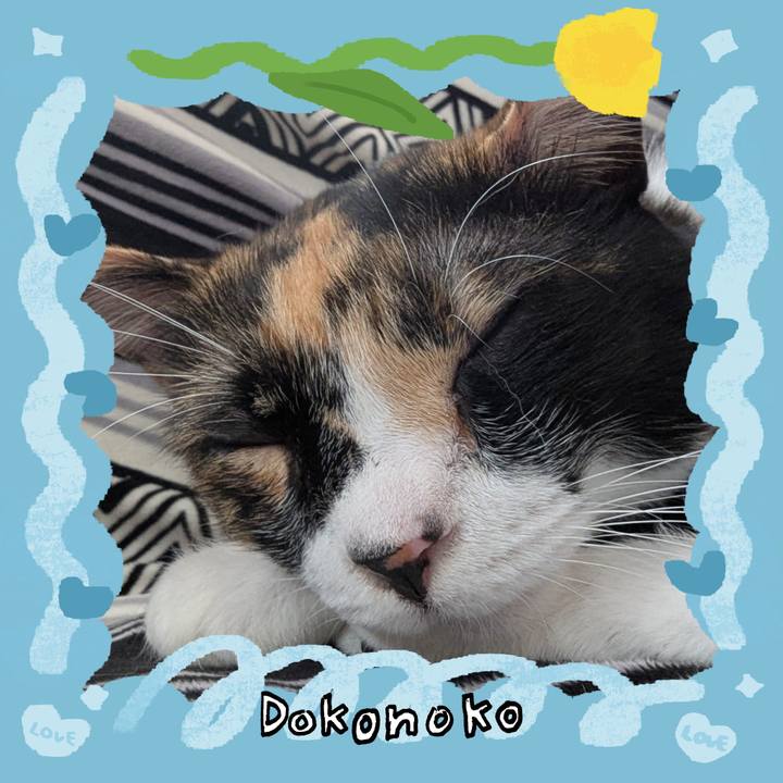 83427b1a e3a3 4566 80bd 5b688515e6e4 1771897049416