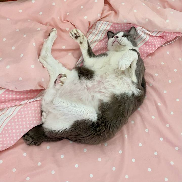 8342a8d5 fa90 4928 a8ca 85790923317b 1762167786864