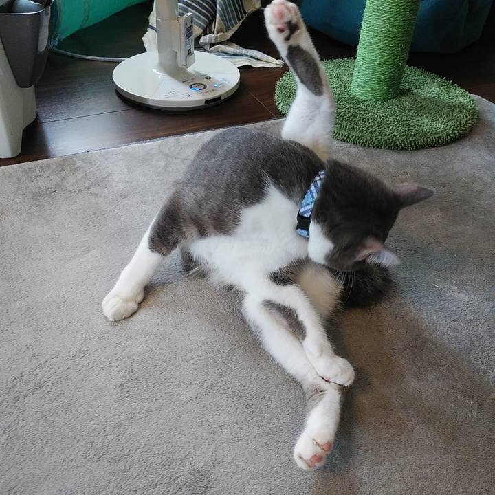 8342bda0 a737 4c01 840e a09804768bb7 1594951639174