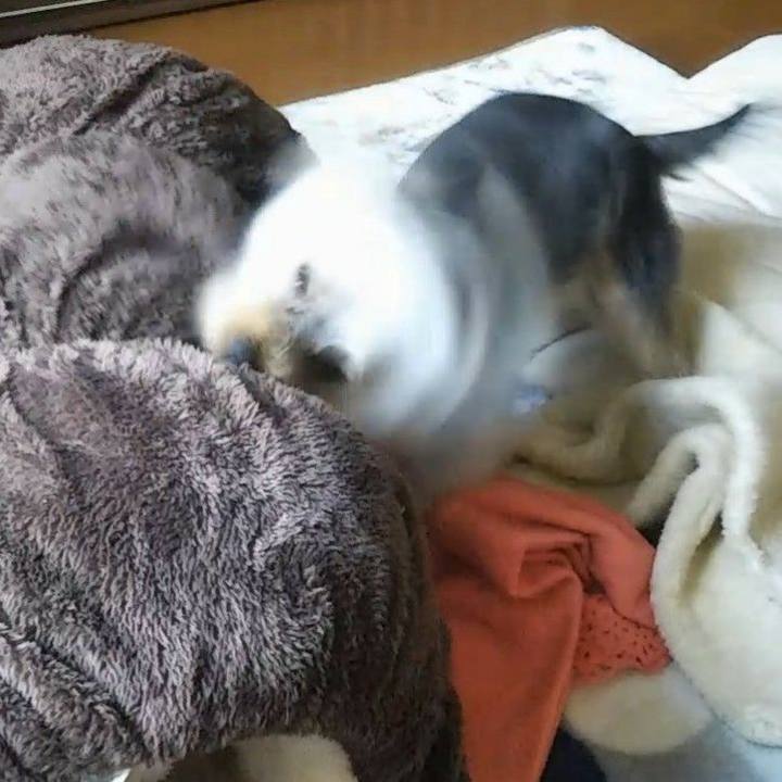 8342c335 58d2 4db5 bbac b7c407d4dfda 1543901049325