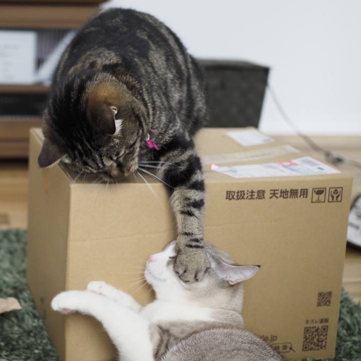 8342e1a3 c9f2 4d89 afc4 abe82cf64e9f 1615026369402