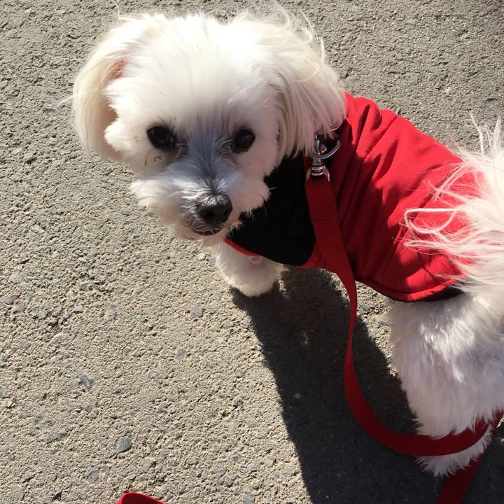 8343018a 7aa5 4adb 991f 404939e12232 1545888447356