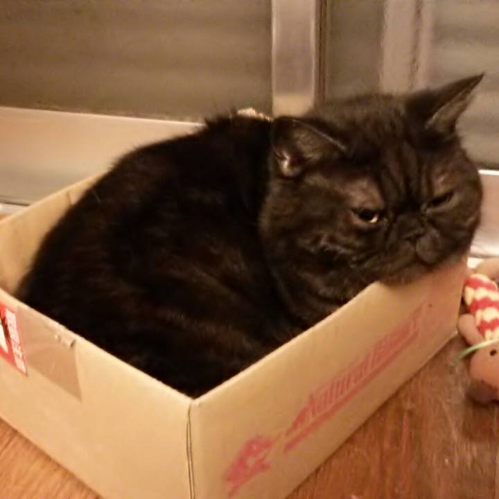 83430666 7491 4b99 b62b 1766b8912c2f 1539562348101