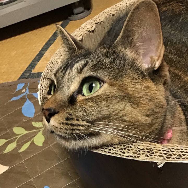 83430cfc e80e 4537 8faf 922aa35f13c3 1732344213924