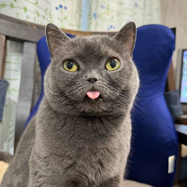 83431e1f 6275 4d39 8746 78c383635fd5 1767749450091