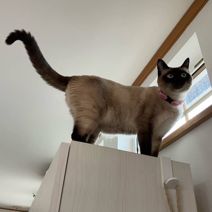 834332e0 67db 455c b3bc d9e319ba3002 1718654761109