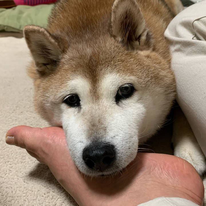 83437c7b 084b 41d7 a579 d0fc93c919fb 1600519907944