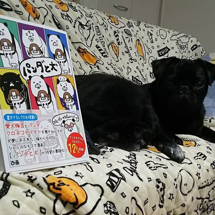 8343a598 d6c0 41e4 a976 55ec687555d0 1559056862654