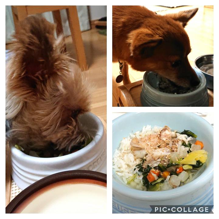 8343c046 5a2e 4054 a3c6 55a659a9c2fc 1579609854680