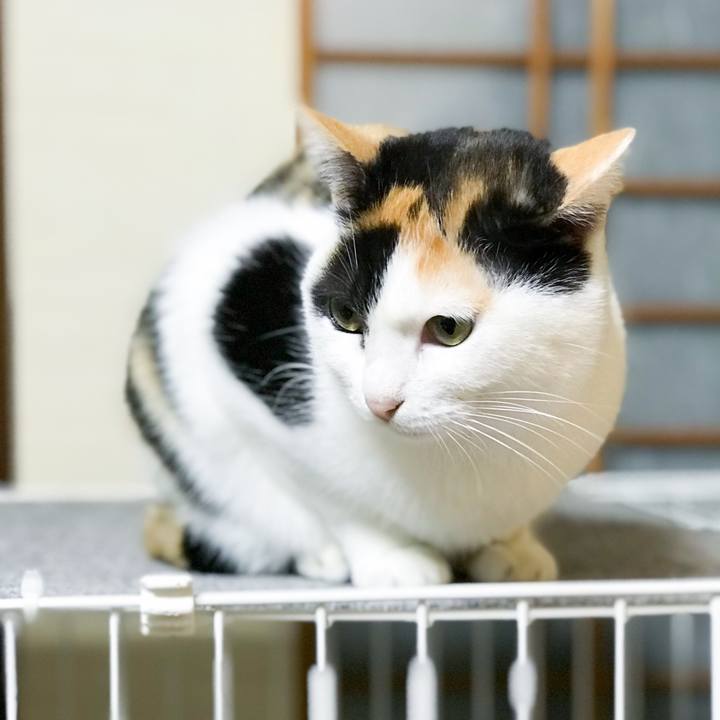 8343c3e4 c604 4bc7 ae0e 394abb958a7e 1515111099893