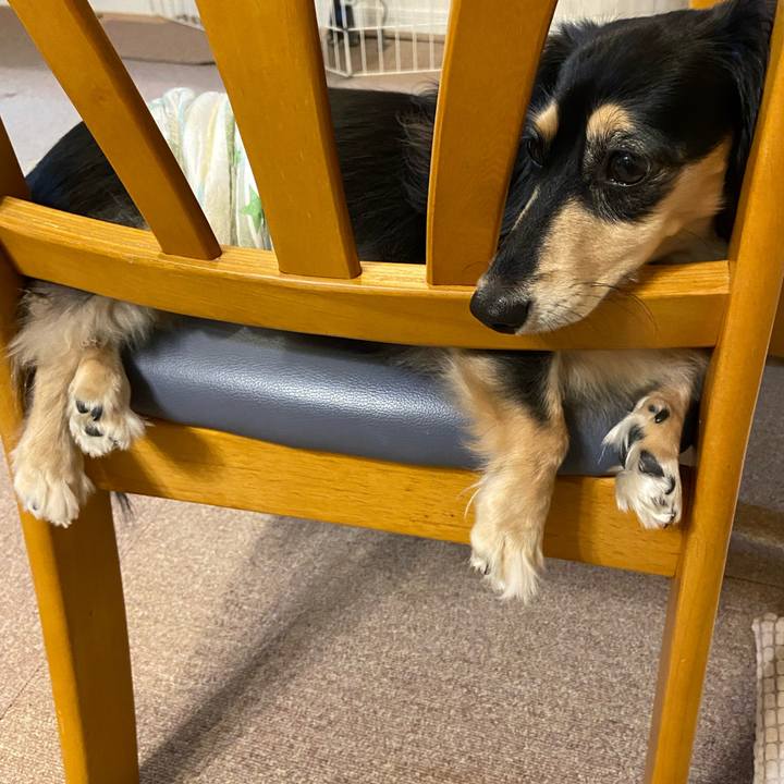 8343cb34 0f0c 403a 8219 76a31d6edc81 1728601109699