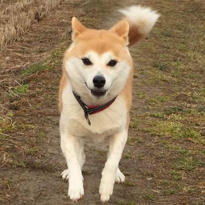 8343ddcf e148 4e8e 8353 e0971161bbac 1518655616978