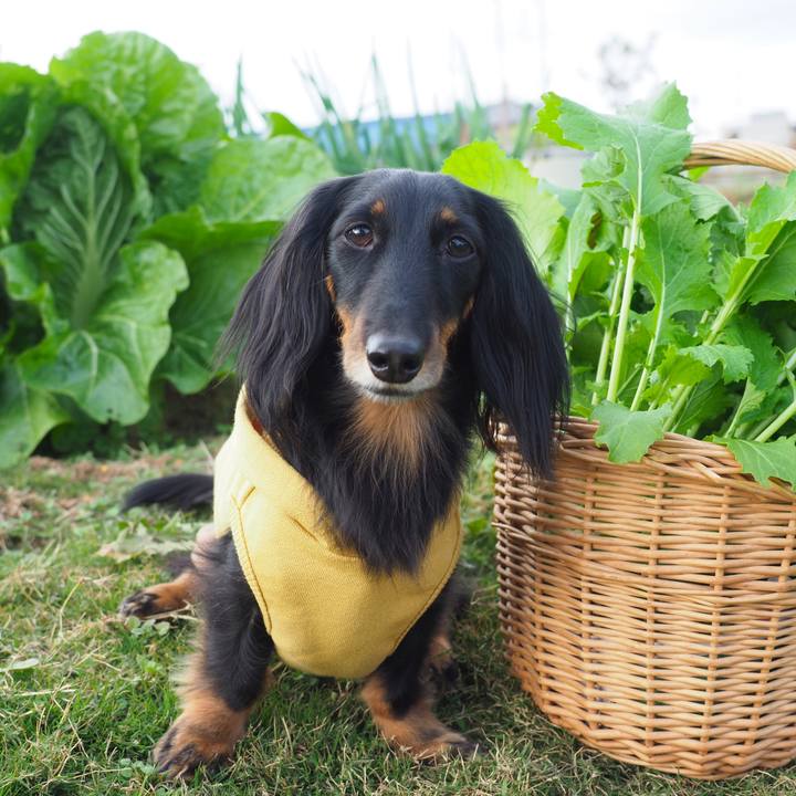 8343f040 8199 437e 9685 1d8f3295c811 1606028294689