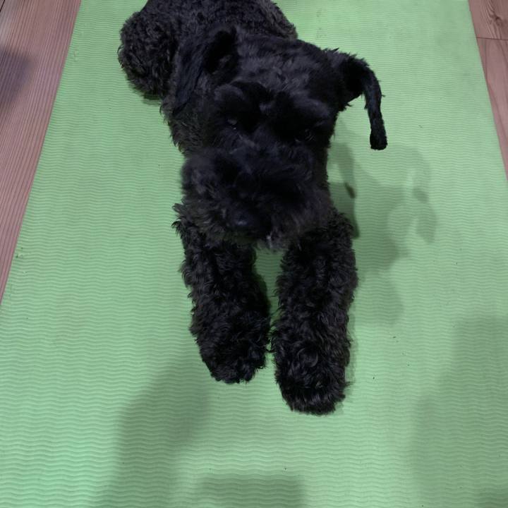 8343f8e4 737a 4b54 aa7c bb7e03c70c7f 1655022378057