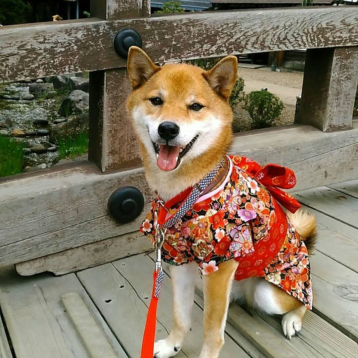 8343fbeb 3085 46ce 90b7 43c60da1260f 1538821524656