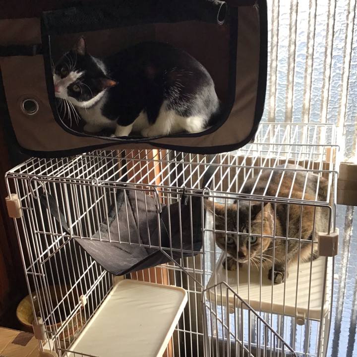 83440fbd 1dd7 4017 a899 0203ff855768 1666783759065