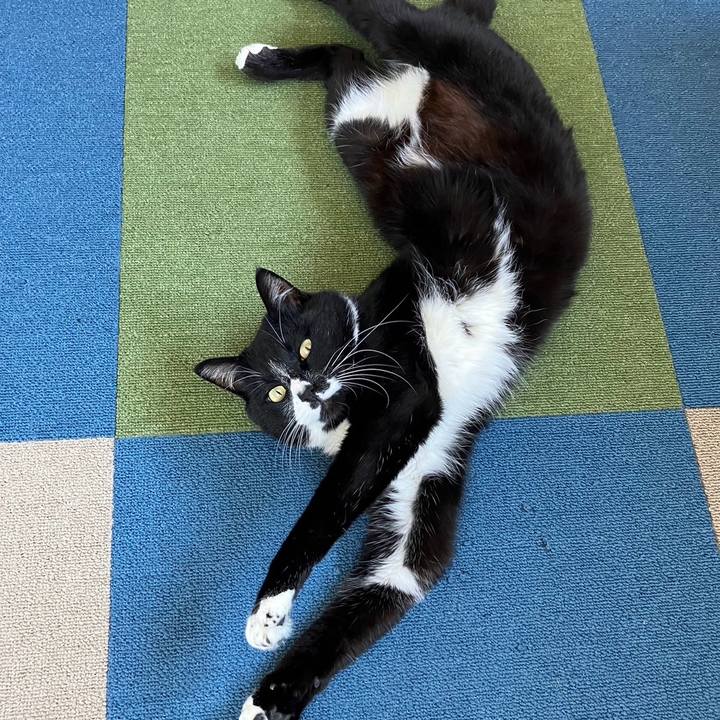 83441675 047a 4f58 9dda 7a87b565cd55 1714621175257