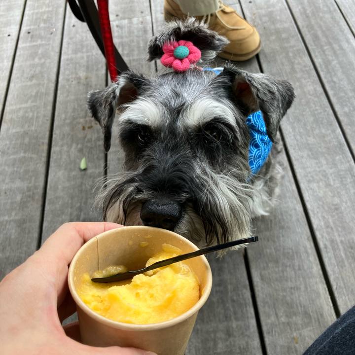 834433cd 35ed 4986 9ed3 c97486c830f2 1721543728015