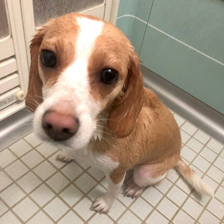 83445f45 ce61 4513 bcfb d8aa23e5a7b0 1587529906763