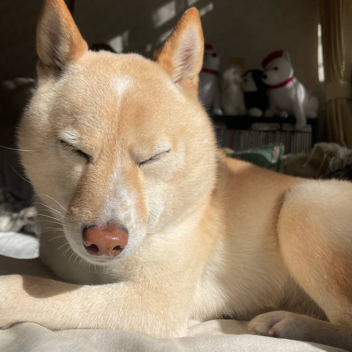 8344bf80 67bf 4fb4 aa00 5f56040062c2 1673059705725