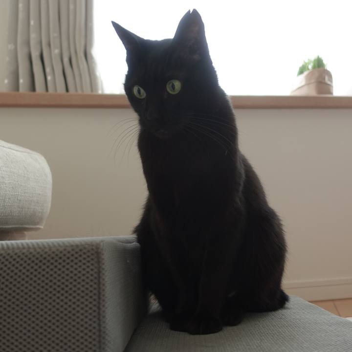 8344ccc6 fb38 4dcc 91f3 4c9f887a060b 1570027709092