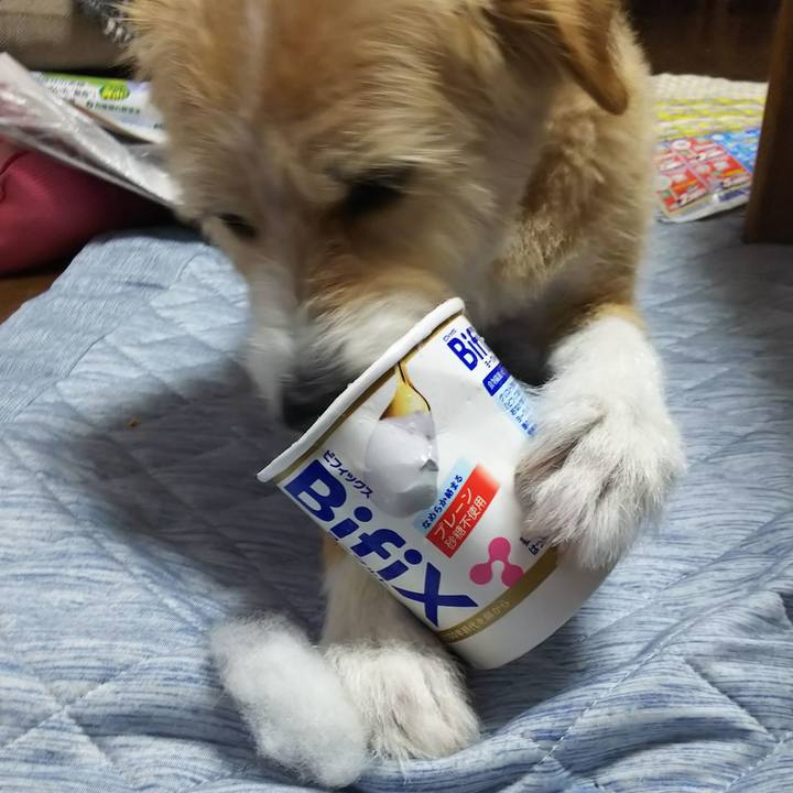 8344cf53 fe4c 41a0 a384 943bbb6656fe 1562368864447