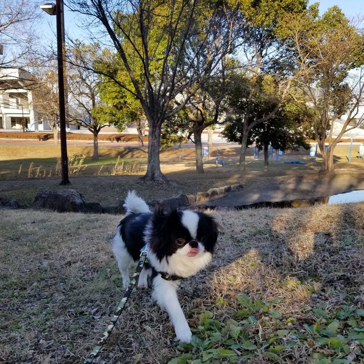 83453717 201d 4ac6 a1c5 7ed97e27c809 1640854166257