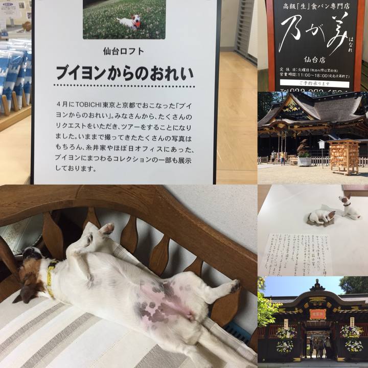 8345570f bd5f 401f a3e5 f079c37a51f8 1527956753443