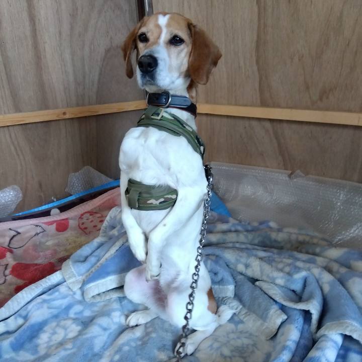 83455949 c3b7 416a adf7 cff983831727 1681036206111