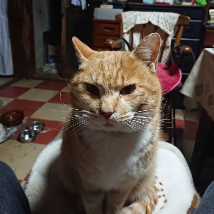 83455de1 2606 492f a737 2f50219b020c 1580501229912