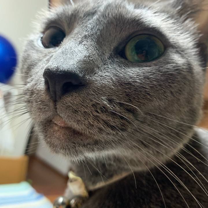 834574b0 8292 43eb 832f ed66d6e823c3 1661002961575