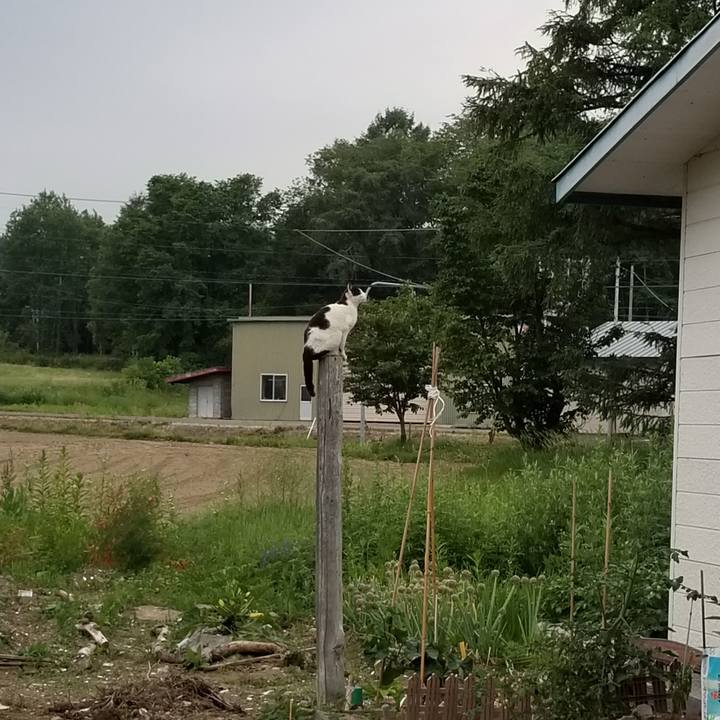 8345766c e209 4834 ad9a 50a63e379b3c 1562062911485