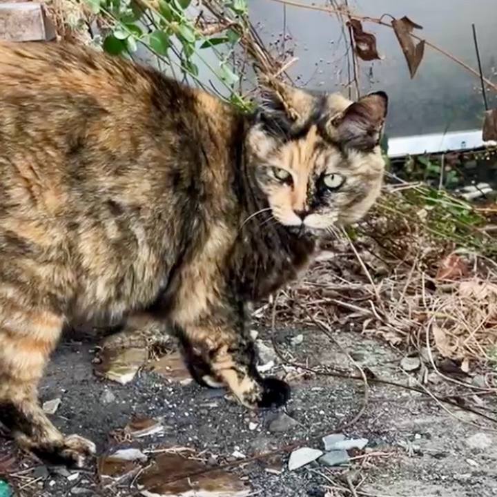 834579d7 782a 45a3 aad0 076a31dc7a4d 1740800563911