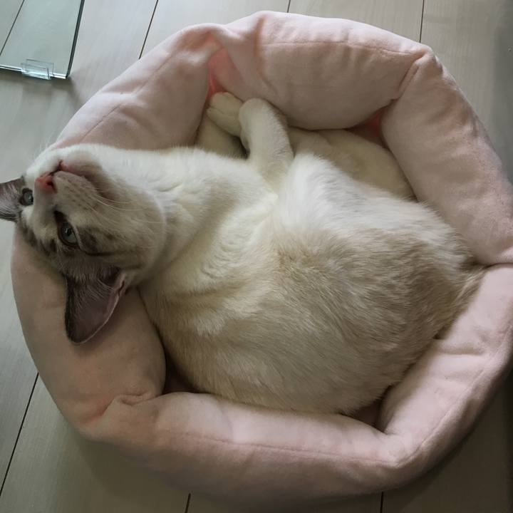 83457eaf f87a 4d21 85ea e19be80abd51 1514686555661