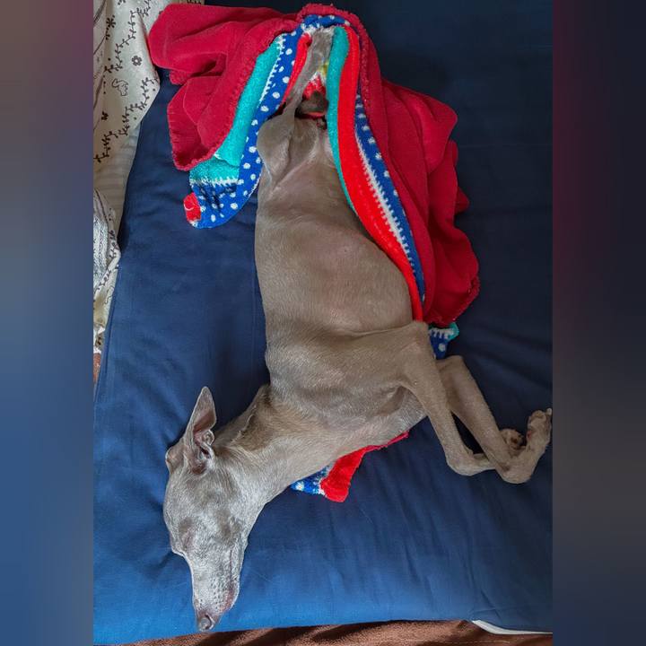 8345abd4 adf5 4a0a 8909 7e1f84dab672 1764763731003