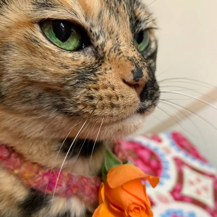 83462104 1725 4c50 8224 eb72cc9c9e71 1613926916729