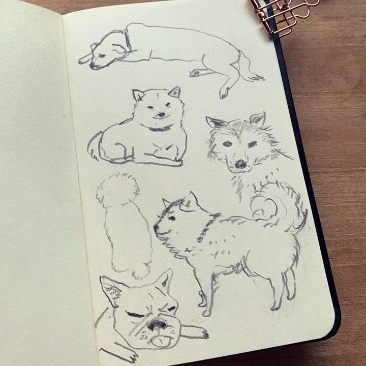 83463df2 6bd5 4e92 955d ce8dced94e51 1650073395118