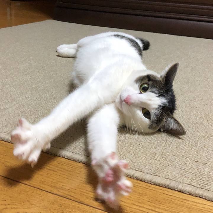 834699d2 81b1 491c a706 c3eebf9ffe99 1611407351050