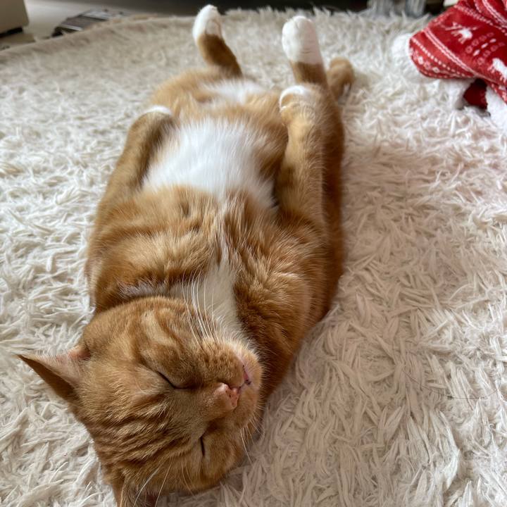 8346b8b1 b45b 4b92 9fe4 ed1fdcd1844a 1651980958853